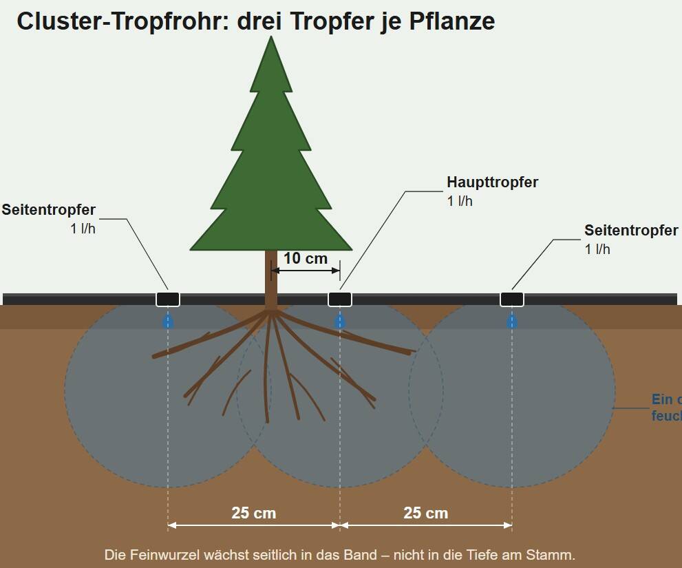 Querschnitt Cluster-Tropfrohr: drei Auslässe je Pflanzstelle bilden ein rund 50 cm breites Feuchteband