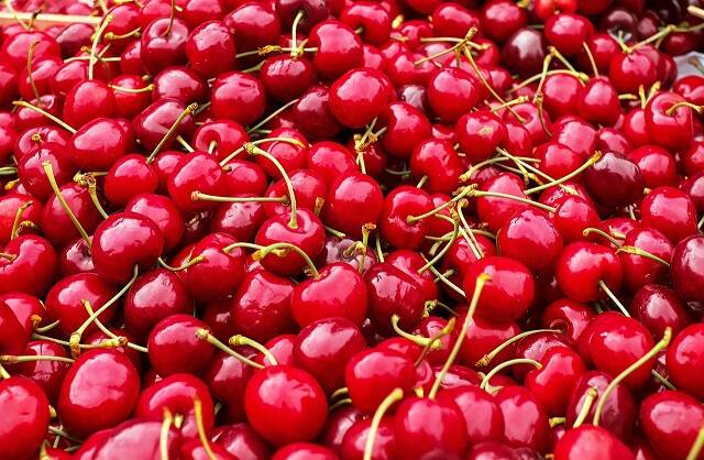 Tropfrohr von DVS Beregnung – Optimale Tropfbewässerung für einen grünen Garten, Beete und Hecken