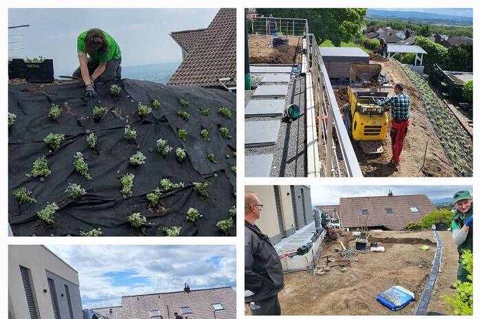 Gartenzauber Neuwied Projekt 2