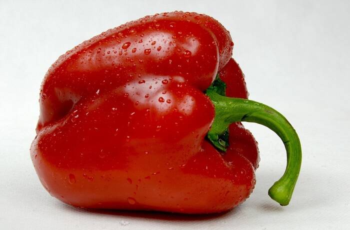 Paprika DVS Beregnung