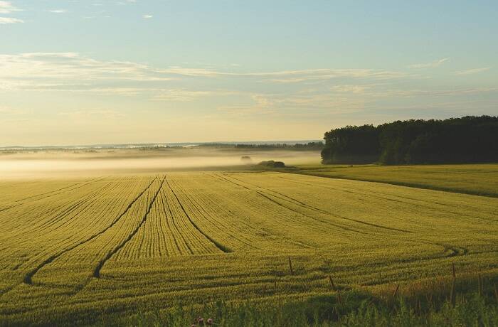 Zukunft der Landwirtschaft: Produktion, Klimaschutz und Ressourcenschonung