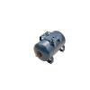 Pedrollo diaphragm expansion tank, spherical "24SF", 1", 8 bar, 20 liters
