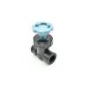 Straight seat valve with 3/4’ female thread Unidelta